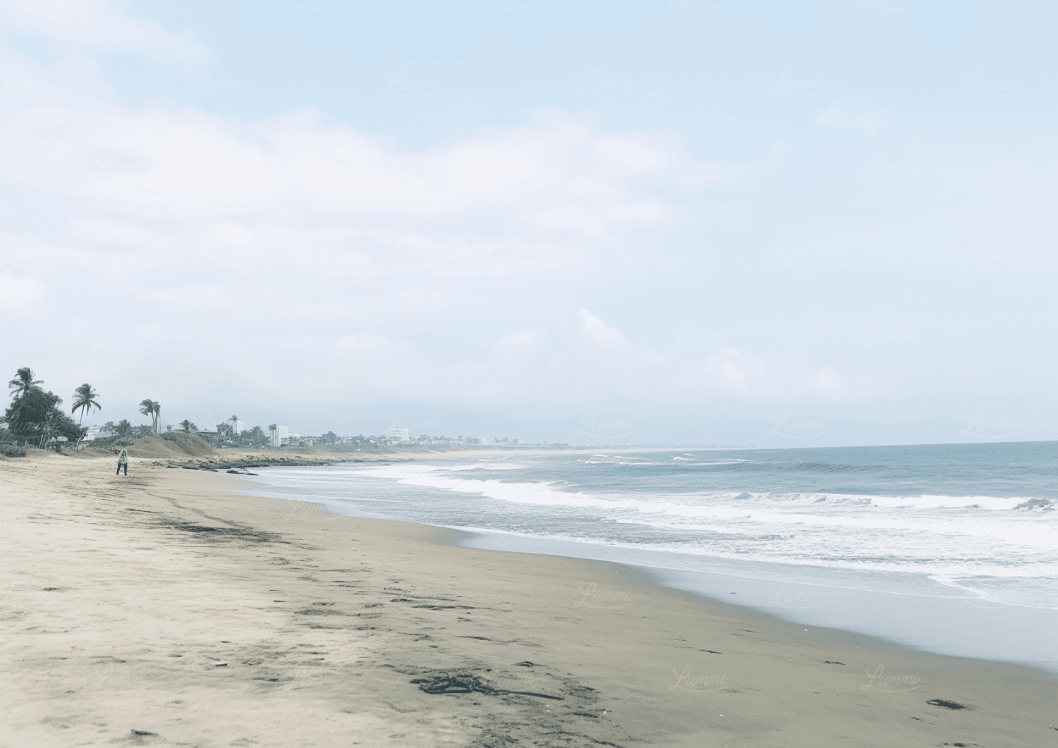 Palm trees along a quiet beach with a lone walker