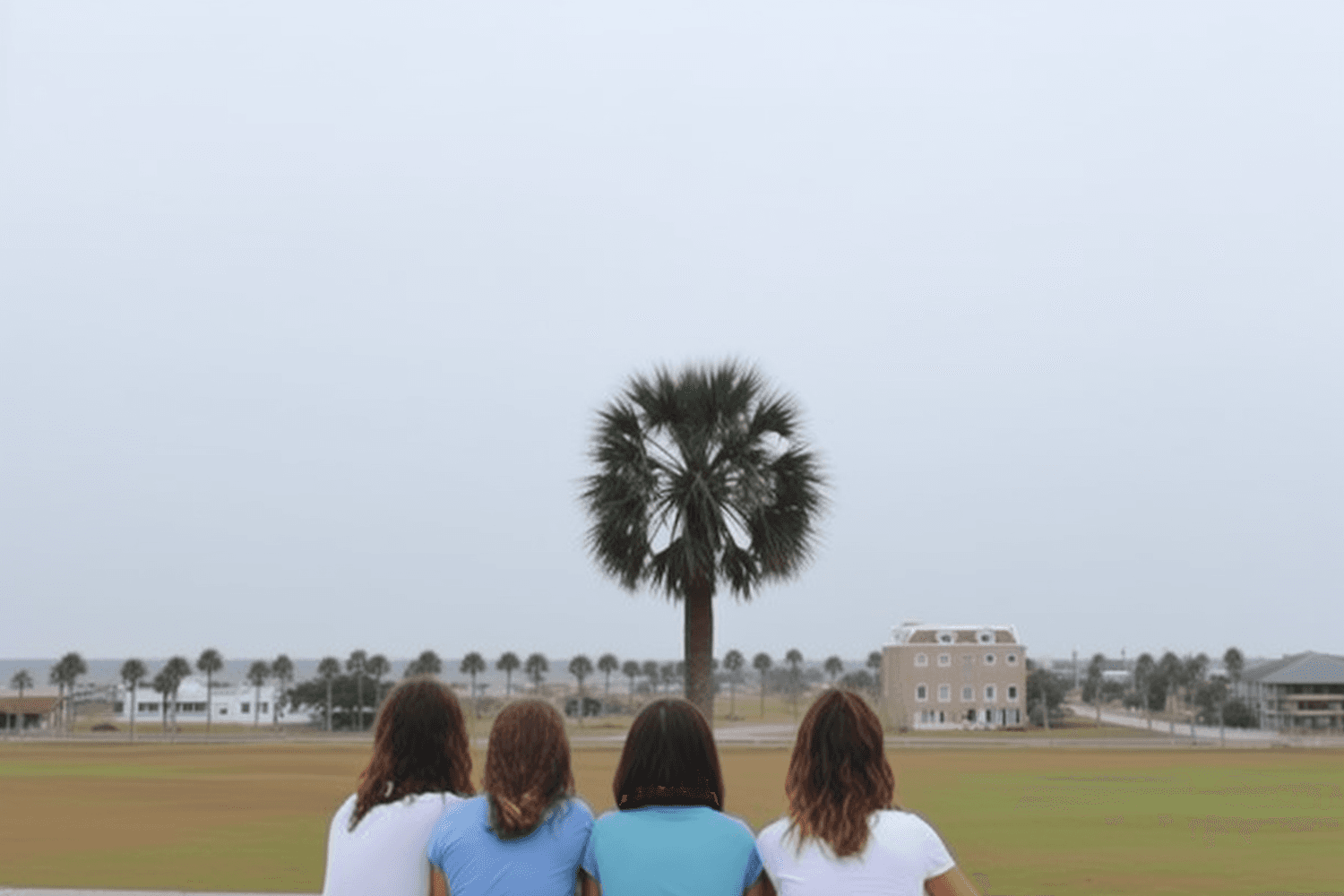 Four friends sitting together beneath a palm tree